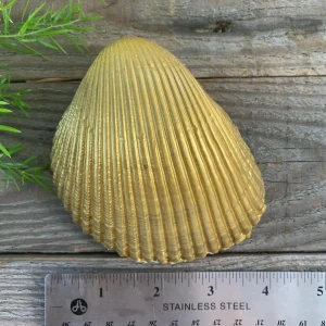 Shell Decoupage Ring Dish