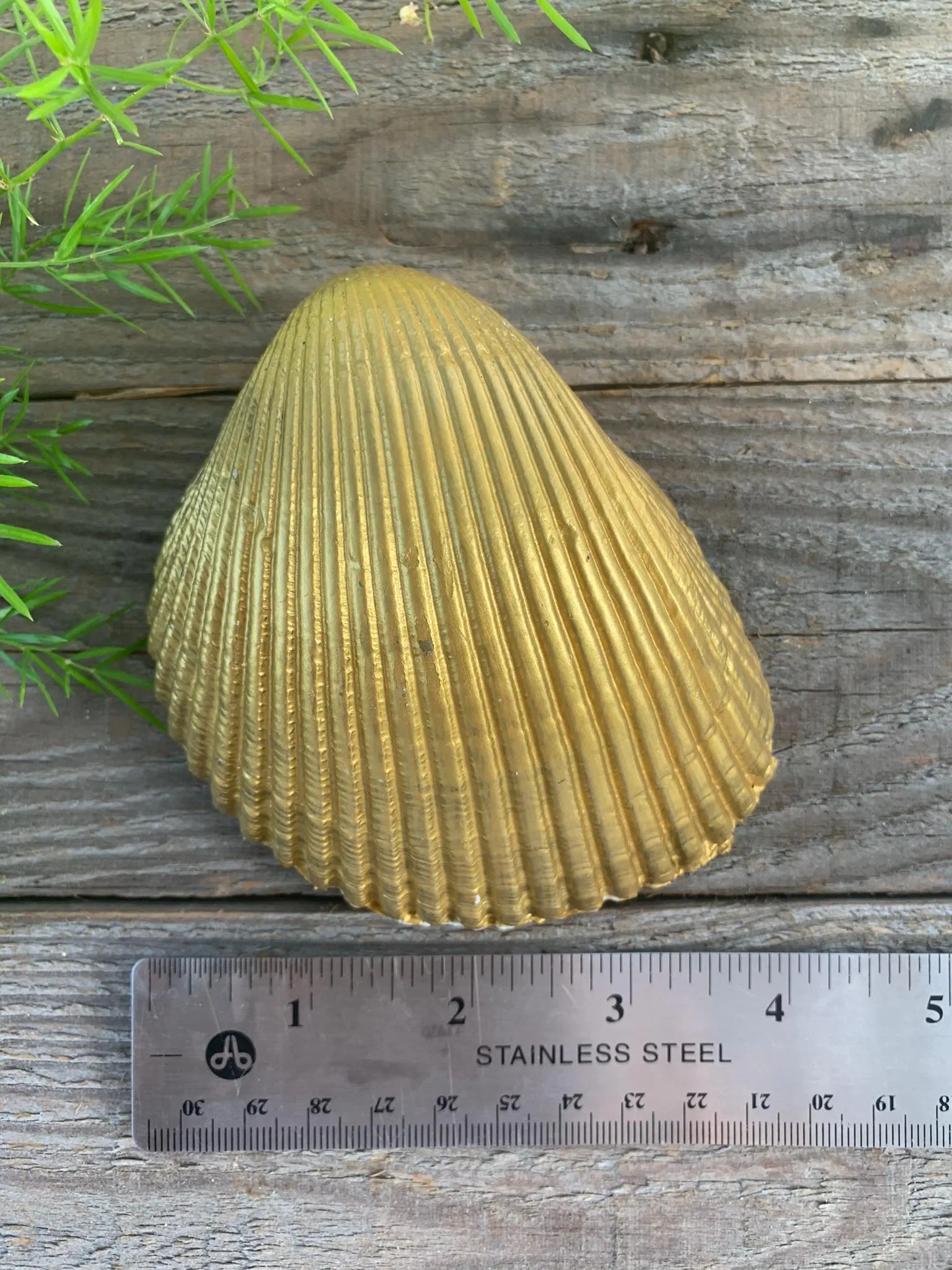 Shell Decoupage Ring Dish - Image 2