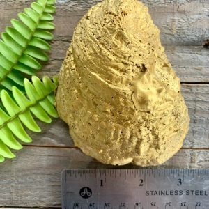 Decoupage Oyster Ring Dish: Blue Willow Coastal Decor