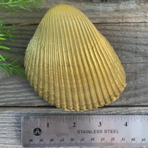 Decoupaged Shell Ring Dish: Coastal Christian Gift