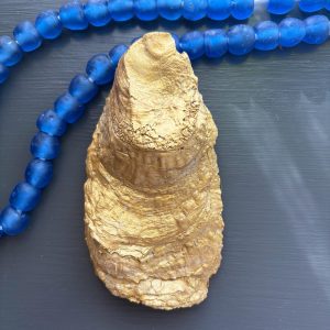 Decoupage Oyster Shell Ring Dish: Fish Print Coastal Decor