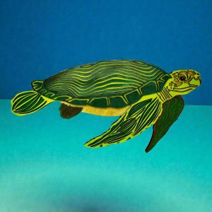 SeaTurtle in Greens