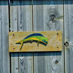 The Majestic Mahi Mahi