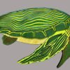 SeaTurtle in Greens