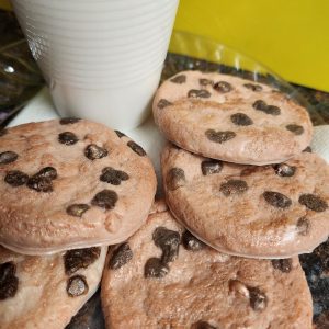 Cookies & Milk Goat Milk Glycerin Soap Snickerdoodle Scent Handmade Fake Food