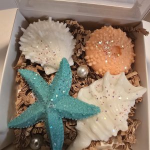 Shell Soaps Box of 4 Handmade