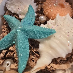 Shell Soaps Box of 4 Handmade