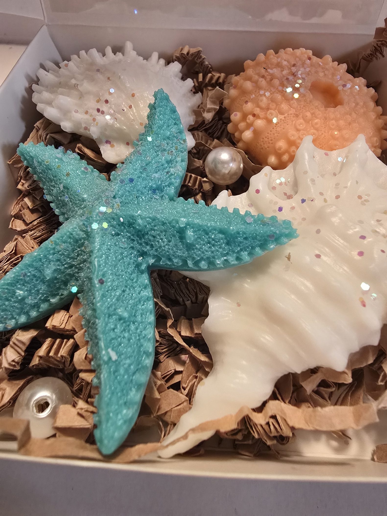 Shell Soaps Box of 4 Handmade