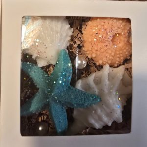 Shell Soaps Box of 4 Handmade