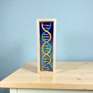 DNA Shadow Box ~ 12"X4"