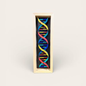 DNA Shadow Box ~ 12"X4"
