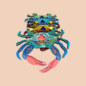 Crab Wall Hanging 10”X7”