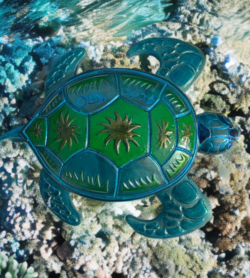 Handpainted large Turtle deco